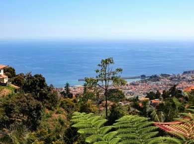 a lush green hillside with a view of the ocean